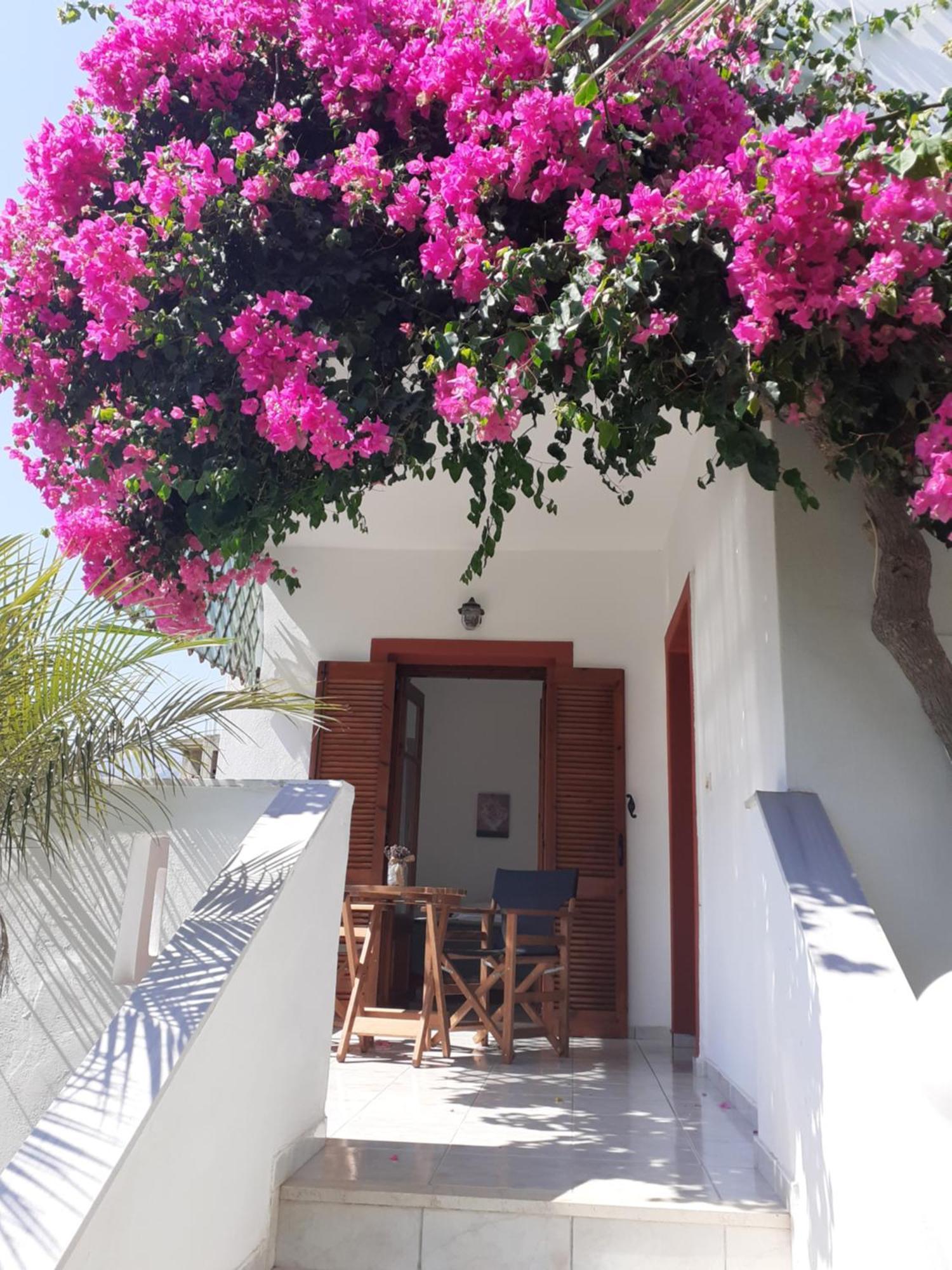 Antigoni Apartments 'Lavender Room' Milatos Exterior foto